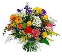 Envio y venta de flores ,rosas, plantas,arreglos florales ,regalos y desayunos a domicilio con delivery gratis en la Ciudad Autonoma de Buenos Aires y con costo de env�o en localidades del Gran Buenos Aires asi como delivery de flores y plantas a trav�s de florerias asociadas en todas las provincias de la Argentina, Buenos Aires, la Pampa, Tucuman, La Rioja, R�o Negro, Entre Rios, Corrientes, Misiones, Neuquen, Chubut, Tierra del Fuego, Santa Cruz, San Luis, Mendoza, Cordoba, Jujuy, Formosa, Santiago del Estero, Salta, Chaco, Catamarca ,San Juan, y ademas realizamos el delivery de flores ,coronas,palmas , plantas y regalos a todas las ciudades de Argentina, Mar del Plata, C�rdoba, Buenos Aires, con cargo en Santa Rosa, La Plata, Bella Vista, Neuquen, Pilar, Paran�, Posadas, Resistencia, Cipolleti y mas de 300 ciudades y localidades en todo el territorio de nuestro pa�s, asi como tambien tenemos la posibilidad de enviar flores a casi todo el mundo en cuestion de horas